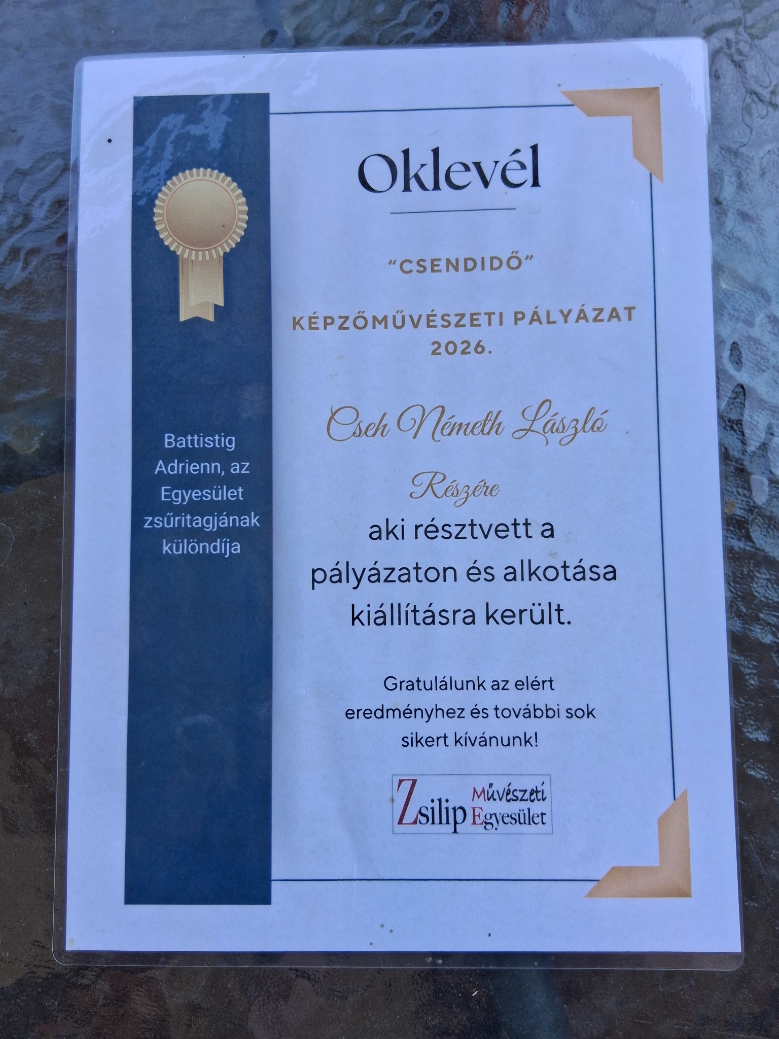 Zsilip különdíj 2026